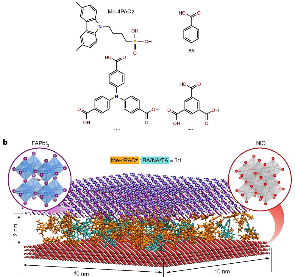 Buried-interface molecular hybrid: the four designed molecules and the mixed monolayer they form on the oxide surface